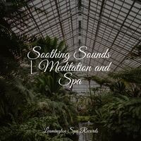 Soothing Sounds | Meditation and Spa