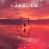 Make Me Feel