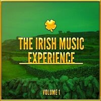 The Irish Music Experience, Vol. 1 (A Selection of Traditional Music from Ireland)