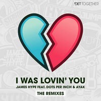 I Was Lovin' You (feat. Dots Per Inch & Ayak) (Remixes)