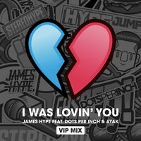 I was Lovin' You (feat. Dots Per Inch & Ayak) (VIP Mix)