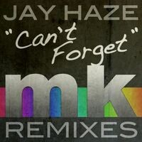 Can't Forget - The MK Remixes