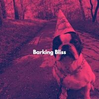 Barking Bliss