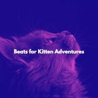 Beats for Kitten Adventures