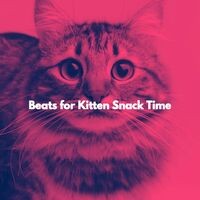 Beats for Kitten Snack Time
