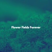Flower Fields Forever