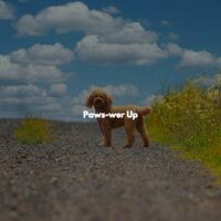 Paws-wer Up