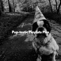 Pup-tastic Playlists Plus