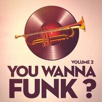 You Wanna Funk, Vol. 2