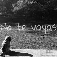 No Te Vayas (feat. PlayDaCut)