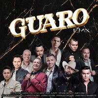 Guaro (Remix)
