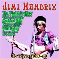 Jimi Hendrix - In Live 1967-69
