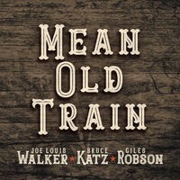 Mean Old Train