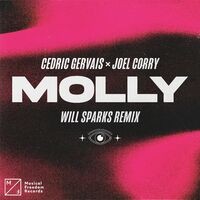 MOLLY (Will Sparks Remix)