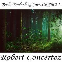 Bach: Brandenberg Concerto No. 2-6