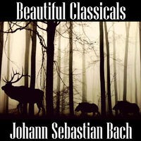 Beautiful Classicals: Johann Sebastian Bach