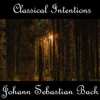 Instrumental Intentions: Johann Sebastian Bach