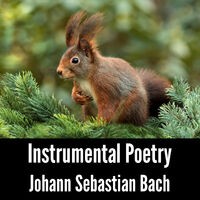 Instrumental Poetry: Johann Sebastian Bach