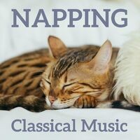 Napping Classical Music
