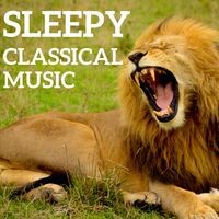 Sleepy Classical Music
