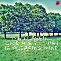 The Classic Like a Gift That is Pleasing Mind 16