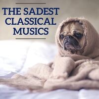 The Sadest Classical Musics