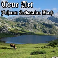 True Art: Johann Sebastian Bach