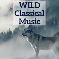 Wild Classical Music