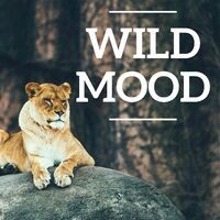 Wild Mood