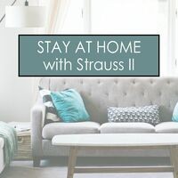 Stay at Home with J. Strauss II