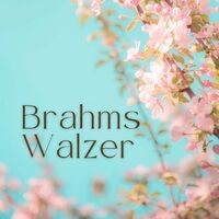 Brahms: Walzer, Op. 39, No. 1 - 16
