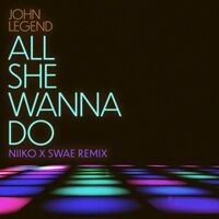 All She Wanna Do (NIIKO X SWAE Remix)