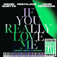 If You Really Love Me (How Will I Know) (David Guetta & MORTEN Future Rave Remix)