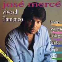 Vive El Flamenco: Bulerias - Seguiriyas - Fandangos - Tientos - Tangos