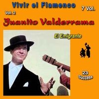 Vivir el Flamenco, Vol. 2 (El Emigrante) (23 Sucess)