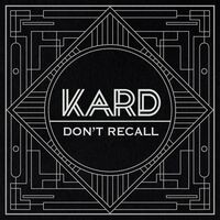 K.A.R.D Project Vol.2 