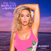 Harleys In Hawaii (KANDY Remix)