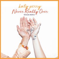 Never Really Over (R3HAB Remix)