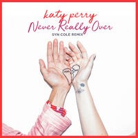 Never Really Over (Syn Cole Remix)