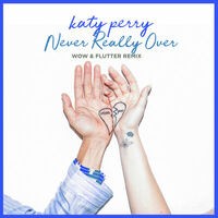 Never Really Over (Wow & Flutter Remix)