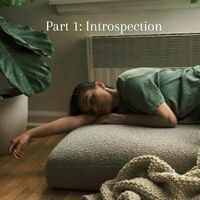 Part 1: Introspection