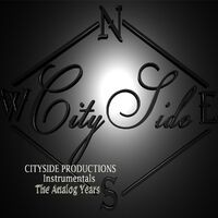 Cityside Productions Instrumentals the Analog Years
