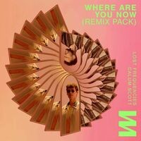 Where Are You Now  (Kungs Remix)