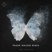 Not Ok (Frank Walker Remix)