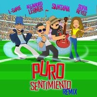 Puro Sentimiento (feat. Santana) (Remix)