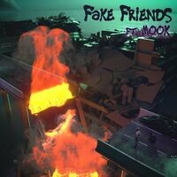 Fake Friends (feat. Mook)