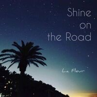 Shine on the Road