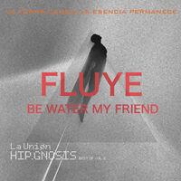 Fluye. Be Water My Friend