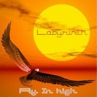 Fly in High
