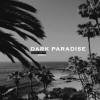Dark Paradise (Remix)